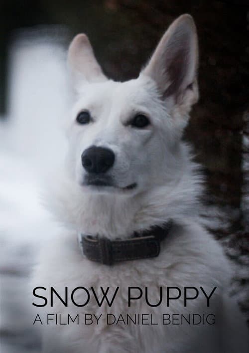Постер: Snow Puppy