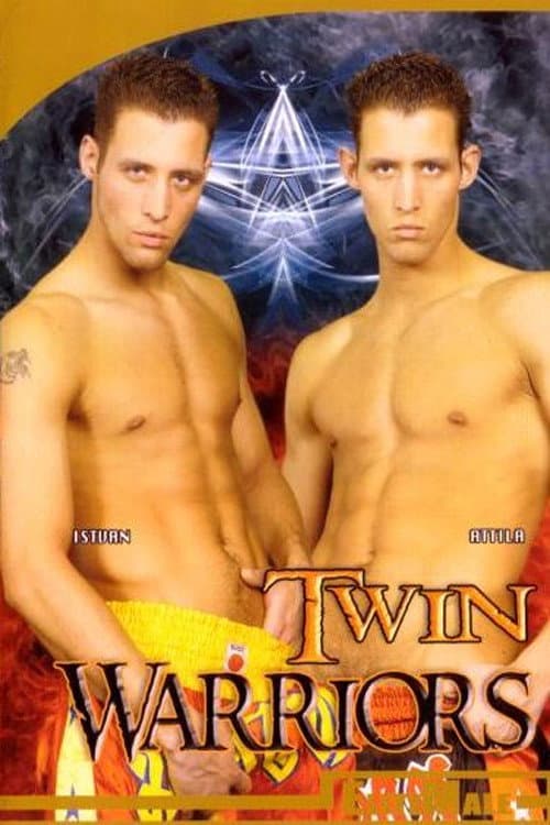 Постер: Twin Warriors