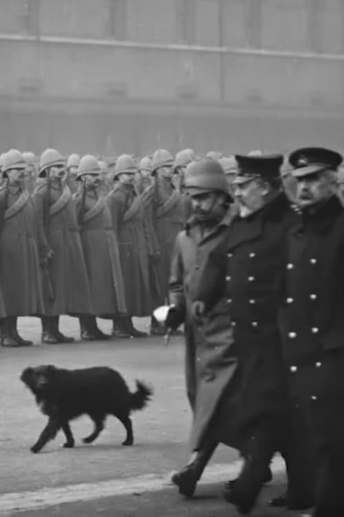Постер: Paget's Horse. Imperial Yeomanry Reviewed by HRH Prince of Wales