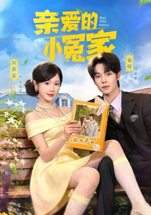 Постер: 亲爱的小冤家