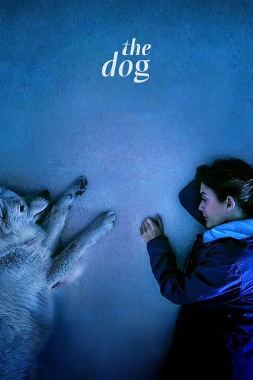 Постер: The Dog