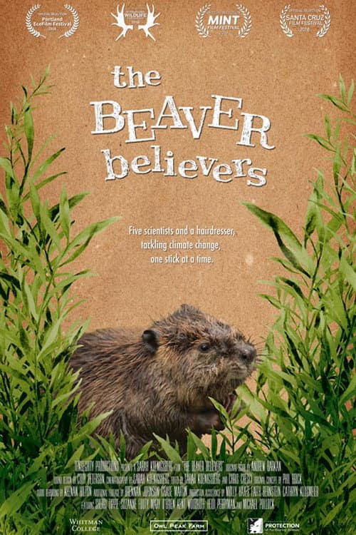 Постер: The Beaver Believers