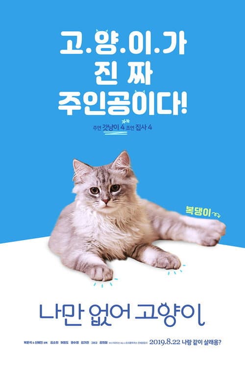 Постер: 나만 없어 고양이