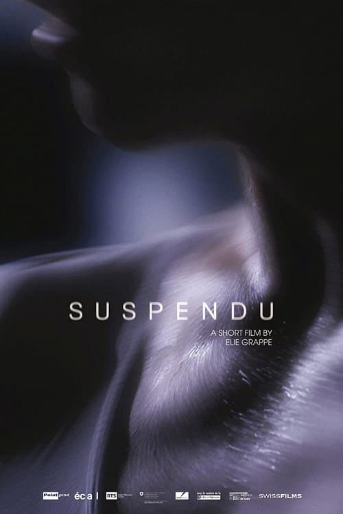 Постер: Suspendu