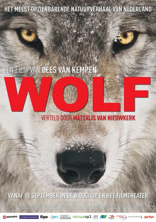 Постер: Wolf