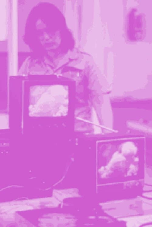 Постер: Not For Sale: Feminism and Art in the USA during the 1970s