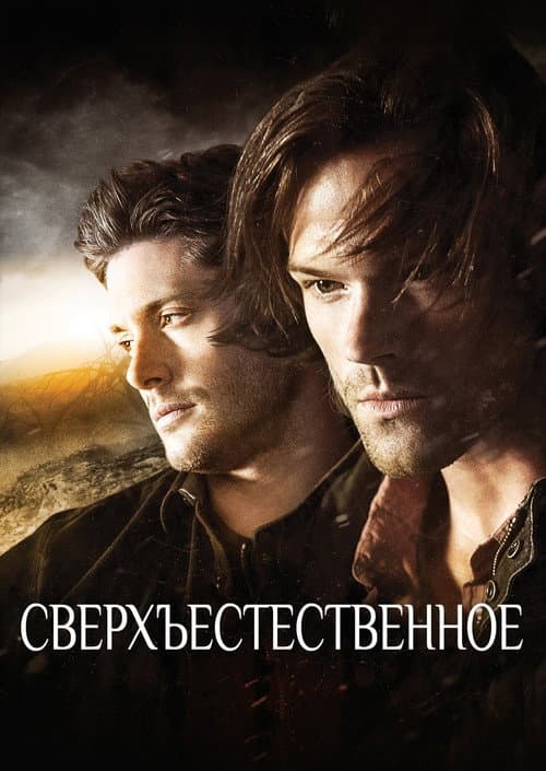 Кадр 7