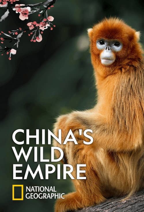 Постер: China's Wild Empire