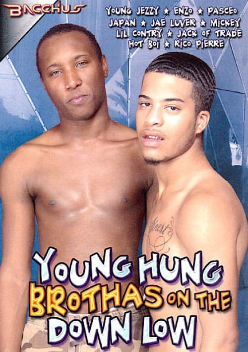 Постер: Young Hung Brothas on the Down Low