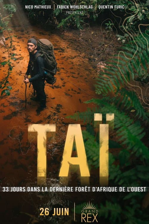 Постер: TAÏ: 33 jours dans la dernière forêt primaire d’Afrique de l’Ouest