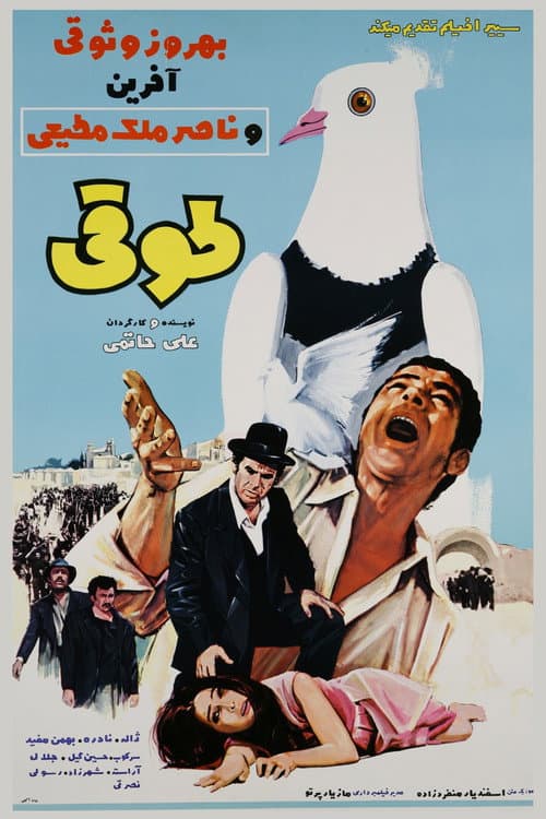 Постер: طوقی