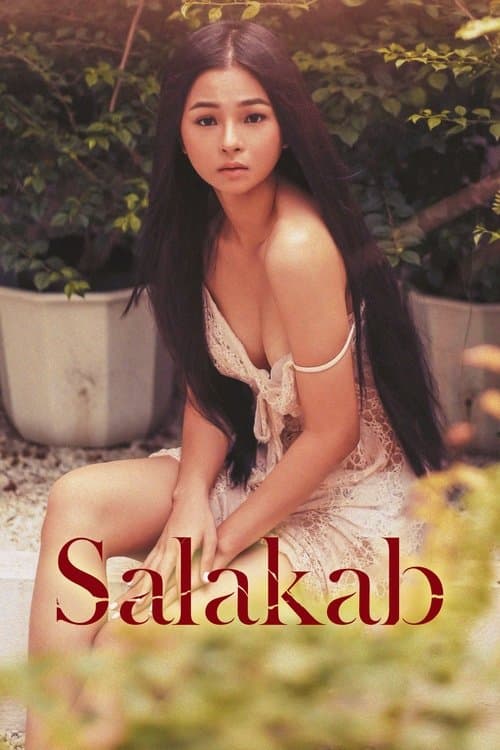Постер: Salakab