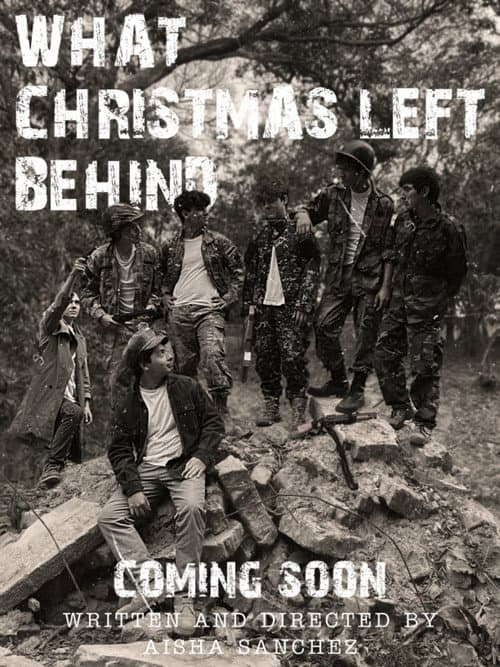 Постер: What Christmas Left Behind