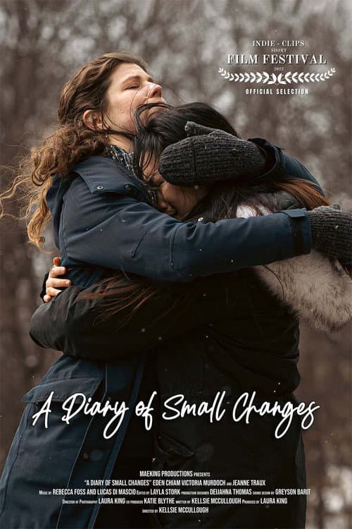 Постер: A Diary of Small Changes
