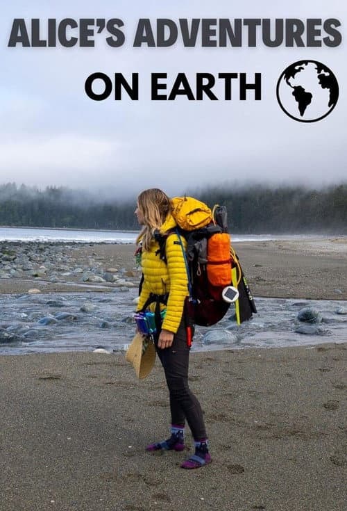 Постер: Alice's Adventures on Earth