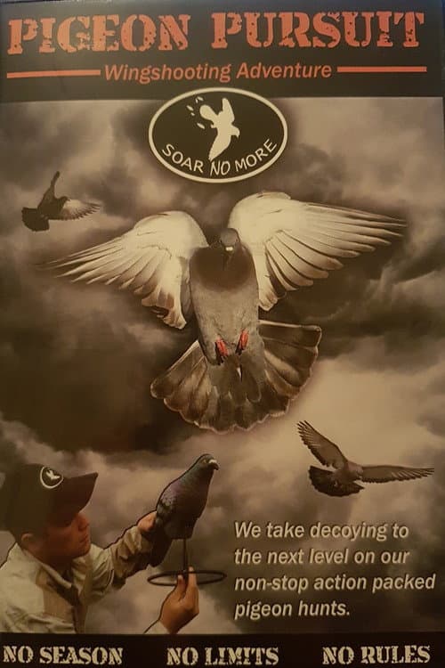 Постер: Pigeon Pursuit