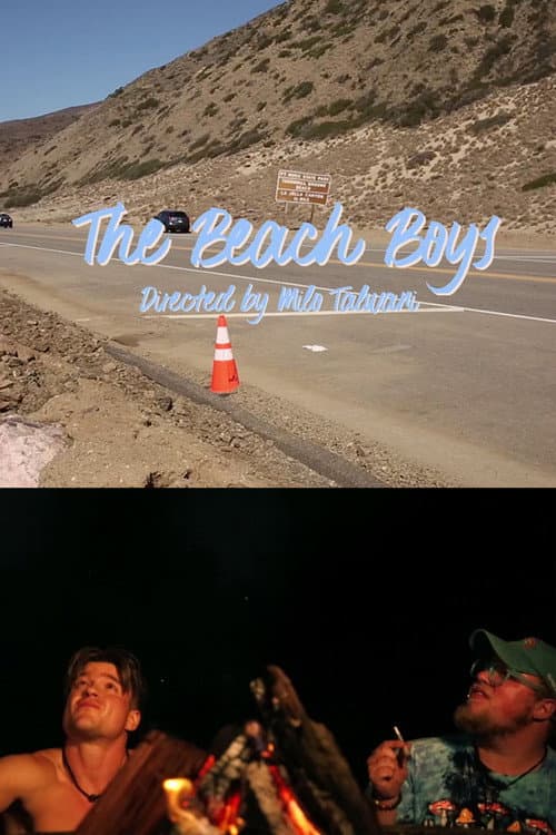 Постер: The Beach Boys