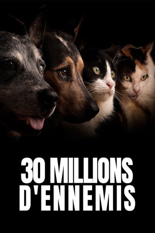 Постер: 30 millions d'ennemis