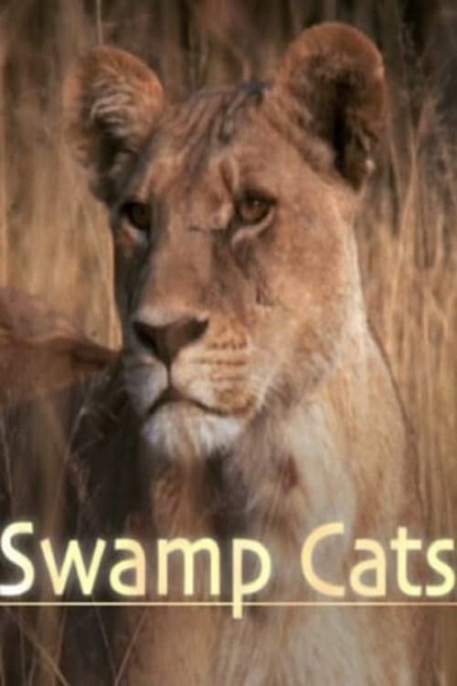 Постер: Swamp Cats