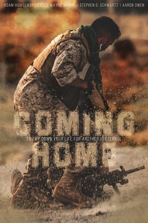 Постер: Coming Home