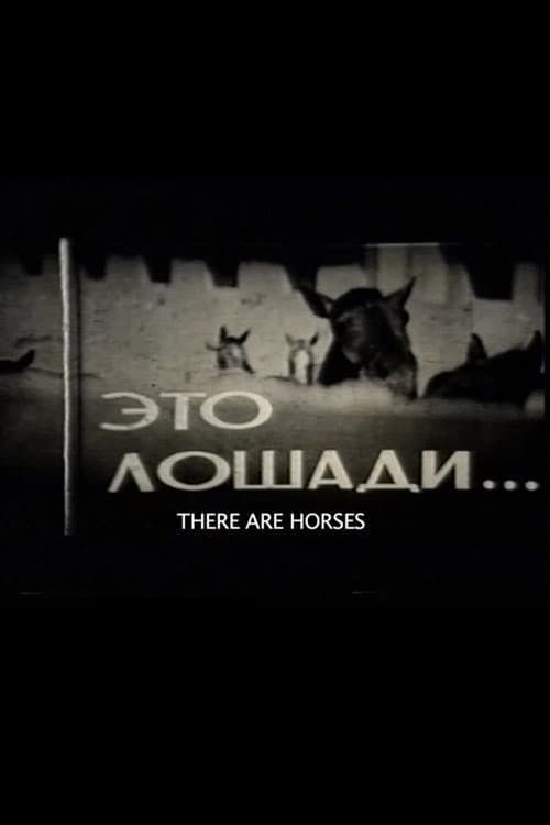 Постер: Это лошади