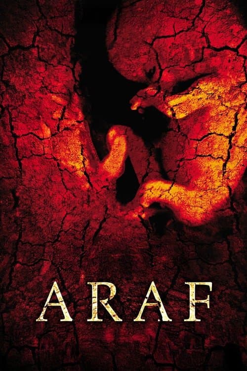 Постер: Araf