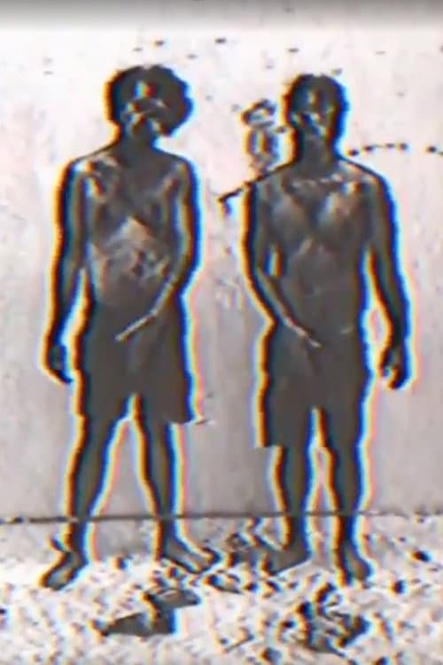 Постер: Fook Fook Boys