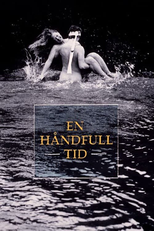 Постер: En håndfull tid
