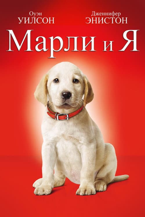 Кадр 3