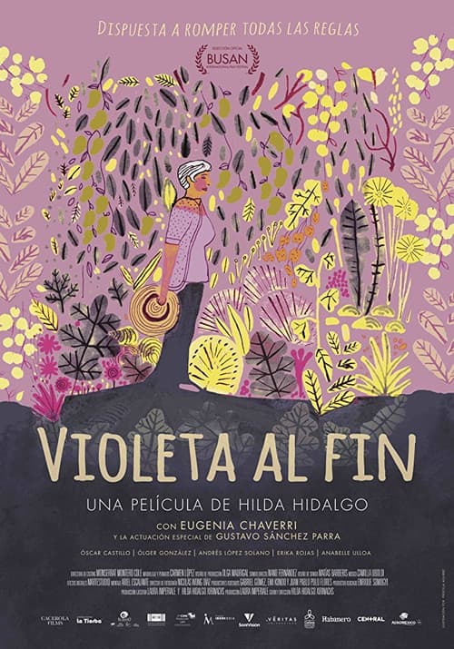 Постер: Violeta al fin