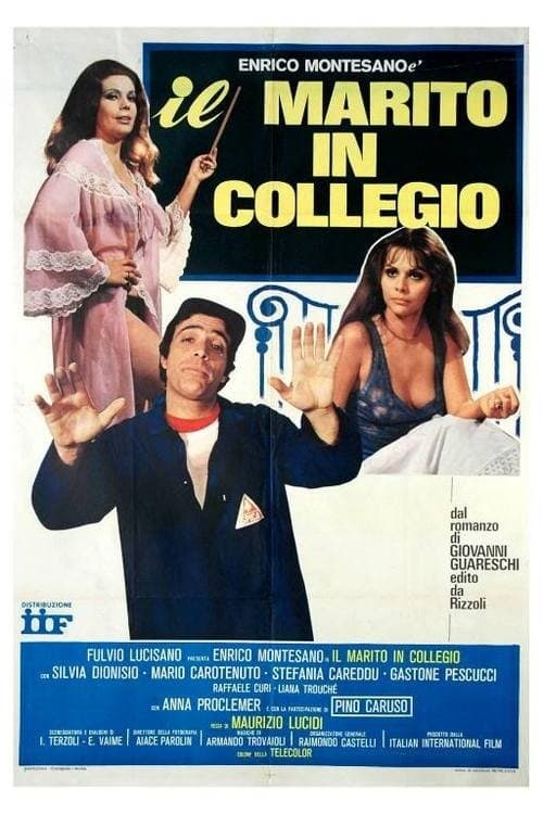 Постер: Il marito in collegio