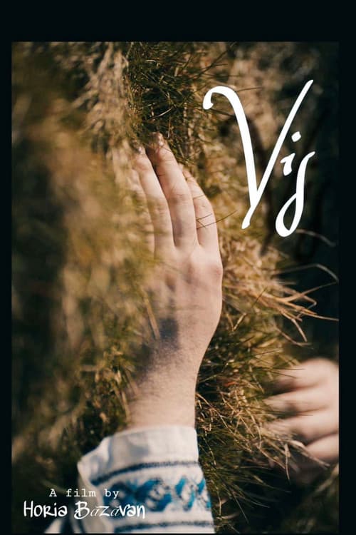 Постер: VIS