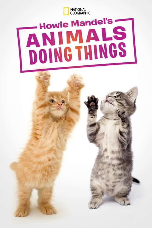 Постер: Howie Mandel's Animals Doing Things