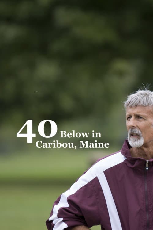 Постер: 40 Below in Caribou, Maine