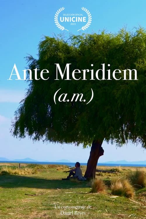 Постер: Ante Meridiem