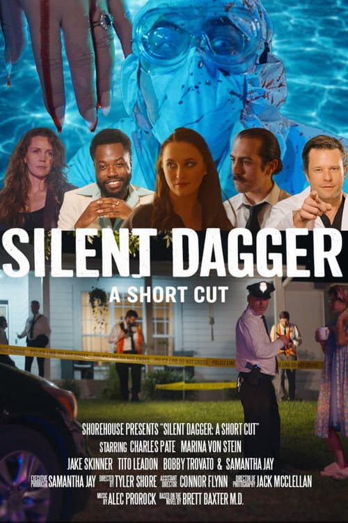 Постер: Silent Dagger: A Short Cut