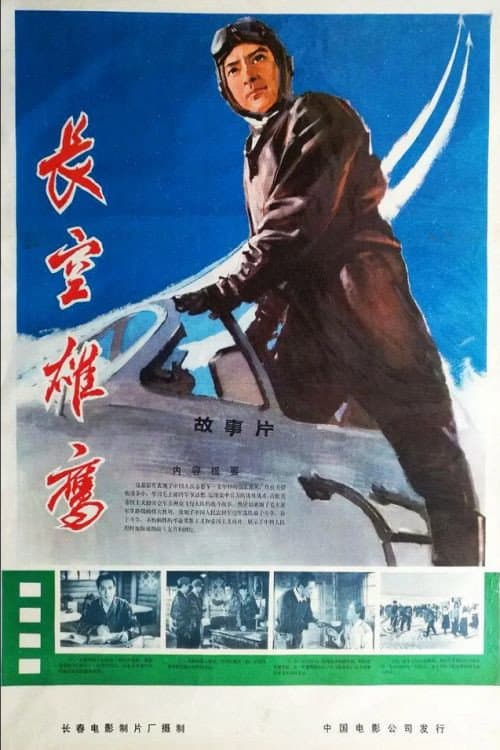 Постер: 长空雄鹰