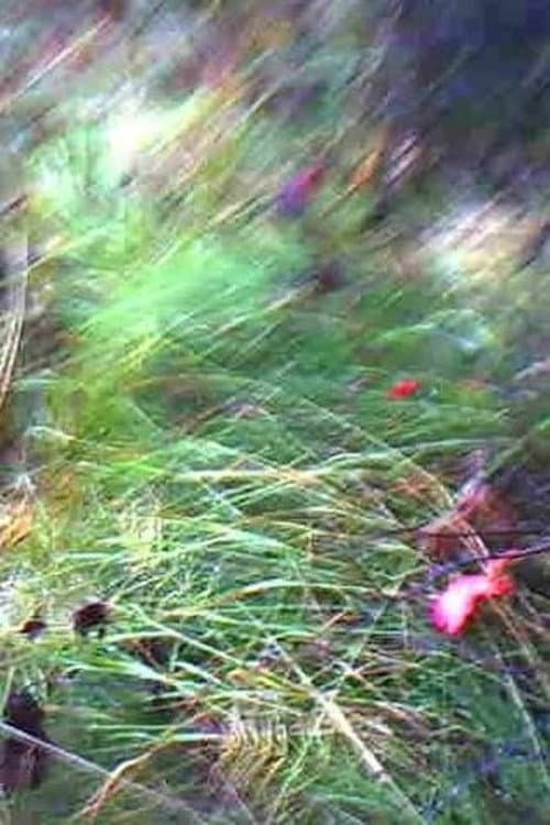 Постер: A Flower of Forgetfulness