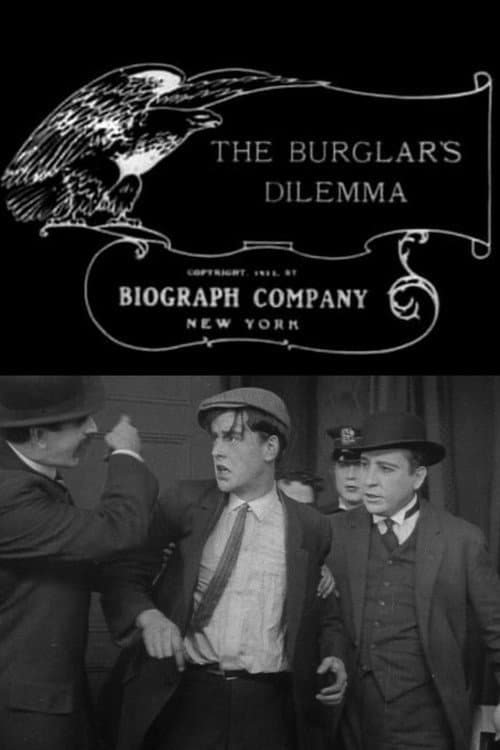 Постер: The Burglar’s Dilemma
