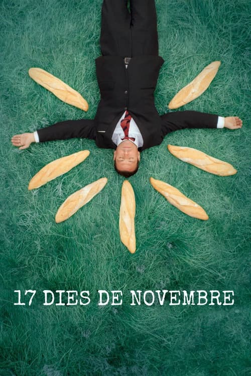 Постер: 17 dies de novembre