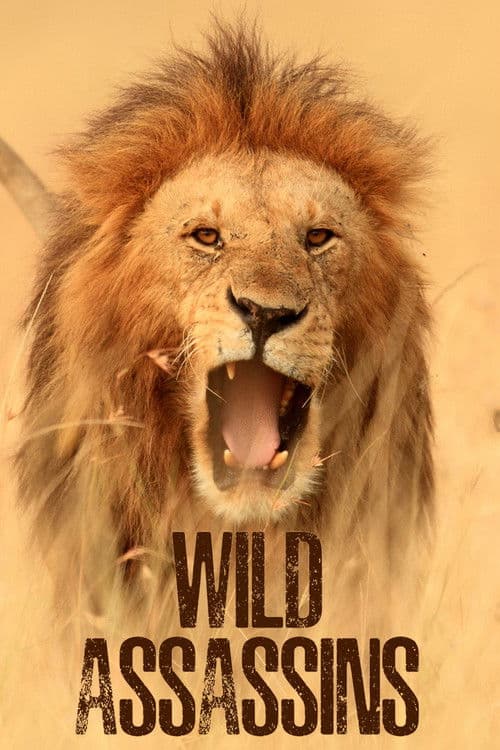 Постер: Wild Assassins