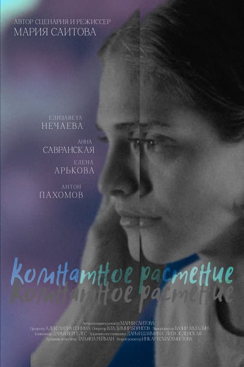 Постер: Комнатное растение