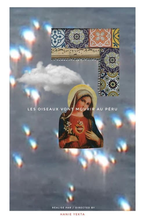Постер: Les oiseaux vont mourir au Pérou