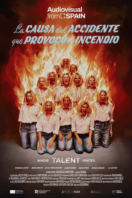 Постер: La causa del accidente que provocó el incendio