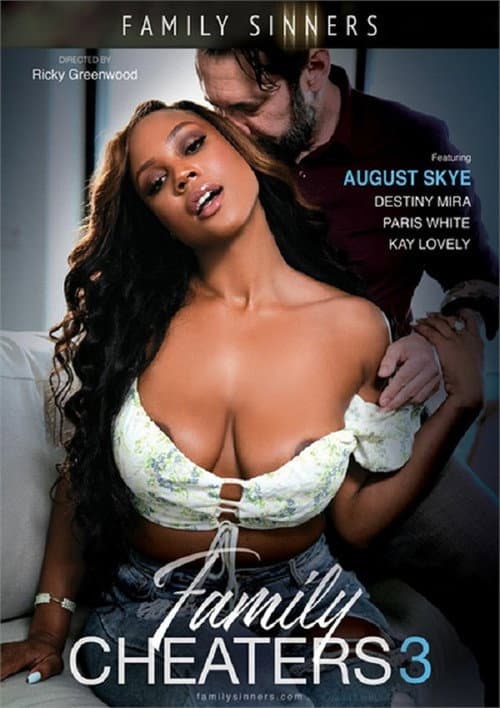 Постер: Family Cheaters 3