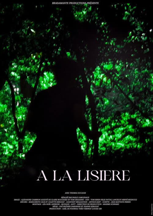 Постер: À la lisière