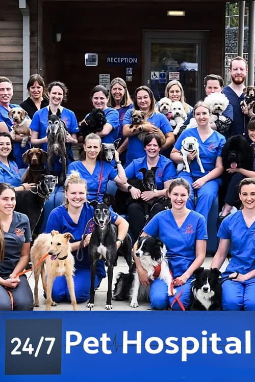 Постер: 24/7 Pet Hospital