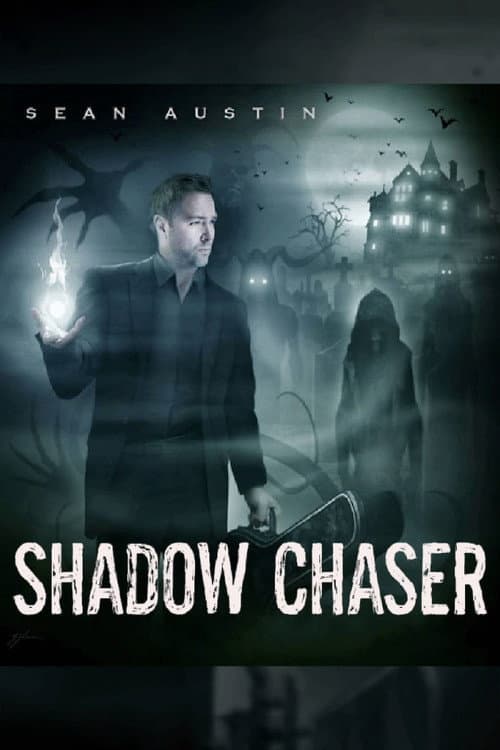 Постер: Shadow Chaser