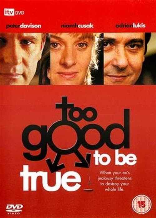 Постер: Too Good to Be True