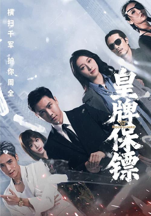 Постер: 皇牌保镖